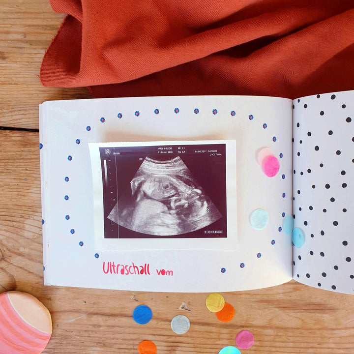 Schwangerschaftstagebuch (Hardcover)